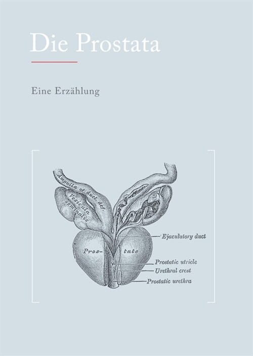 Die Prostata: Eine Erz?lung (Hardcover)