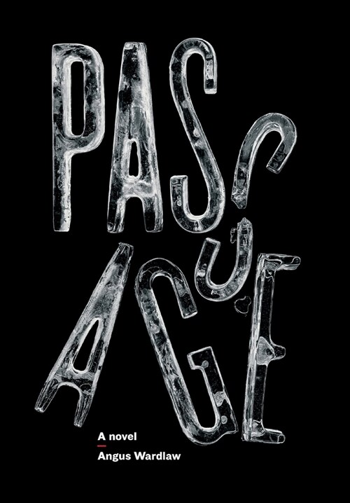 Passage (Hardcover)