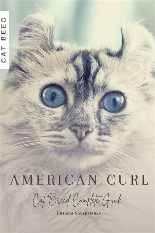 American Curl: Cat Breed Complete Guide (Paperback)