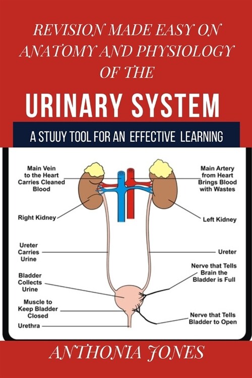 Revision made easy on anatomy and physiology of the urinary system (Paperback)