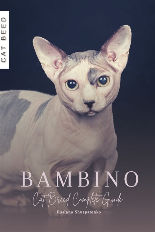 Bambino: Cat Breed Complete Guide (Paperback)