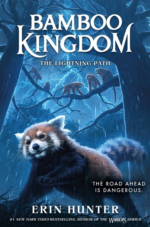 Bamboo Kingdom #5: The Lightning Path (Hardcover)