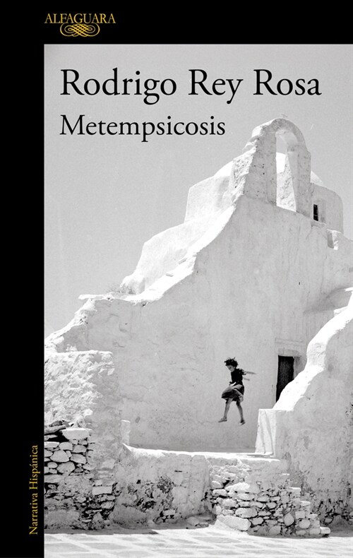 Metempsicosis / Metempsychosis (Paperback)