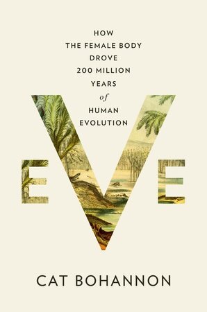 Eve : How the Female Body Drove 200 Million Years of Human Evolution (Paperback)