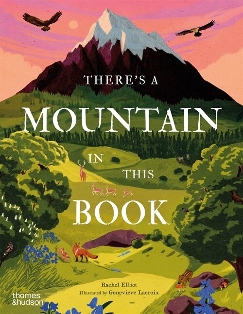 Theres a Mountain in This Book (Hardcover)
