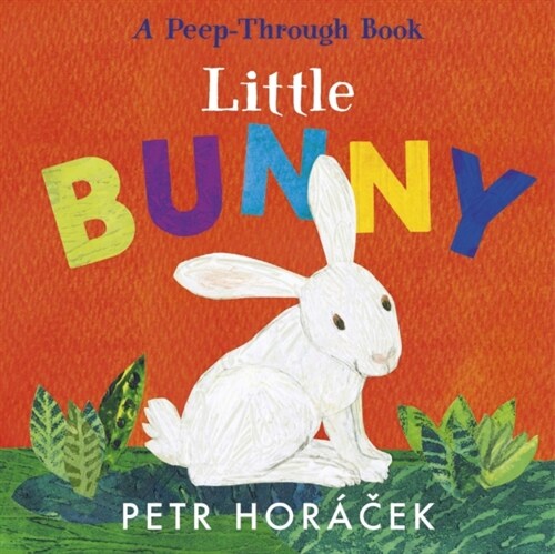 Little Bunny (Board Book)