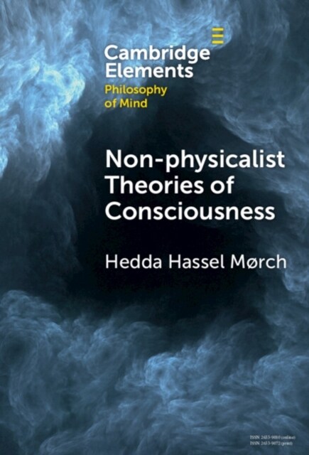 Non-physicalist Theories of Consciousness (Hardcover)