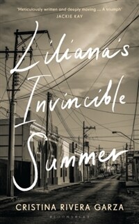 Liliana's Invincible Summer : A Sister's Search for Justice (Paperback)