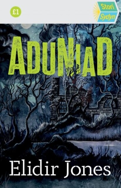 Stori Sydyn: Aduniad (Paperback)