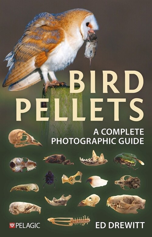Bird Pellets : A Complete Photographic Guide (Paperback)