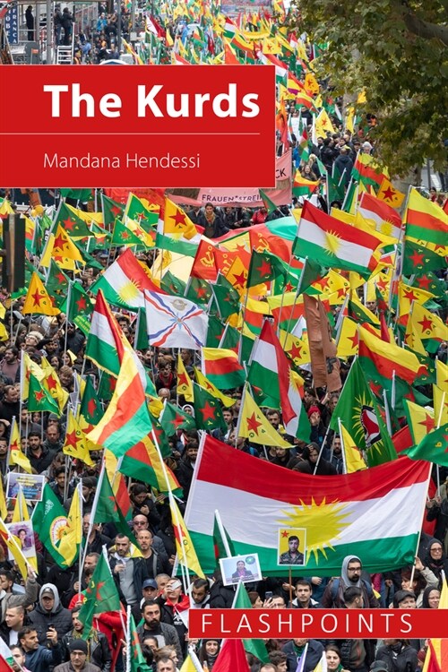 The Kurds : The Struggle for National Identity and Statehood (Hardcover)