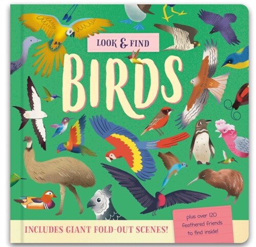 Look & Find : Insects and Minibeasts (Hardcover)