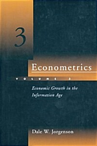 Econometrics: Economic Growth in the Information Age (Paperback)
