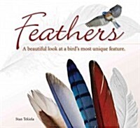 Feathers: A Beautiful Look at a Birds Most Unique Feature (Paperback)