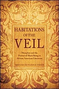 Habitations of the Veil: Metaphor and the Poetics of Black Being in African American Literature (Hardcover)