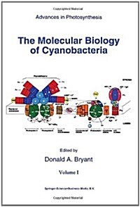 The Molecular Biology of Cyanobacteria (Paperback, 1994)