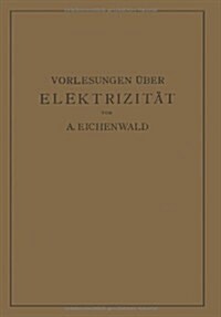 Vorlesungen ?er Elektrizit? (Paperback, Softcover Repri)