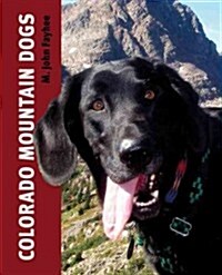 Colorado Mountain Dogs (Paperback)