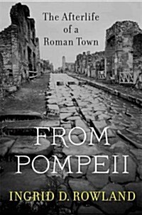 [중고] From Pompeii: The Afterlife of a Roman Town (Hardcover)