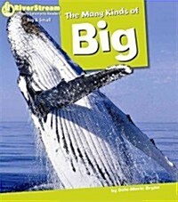 The Many Kinds of Big (Paperback)
