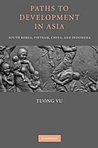 Paths to Development in Asia : South Korea, Vietnam, China, and Indonesia (Paperback)