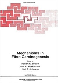 Mechanisms in Fibre Carcinogenesis (Paperback, 1991)