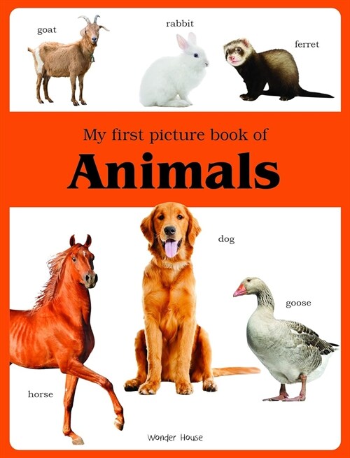 My First Book Of Animals (Paper)