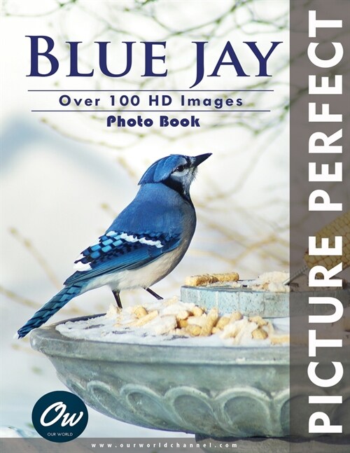 Blue Jay: Picture Perfect Photo Book (Paperback)