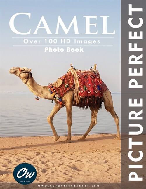 Camel: Picture Perfect Photo Book (Paperback)