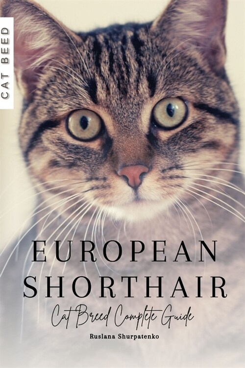 European Shorthair: Cat Breed Complete Guide (Paperback)