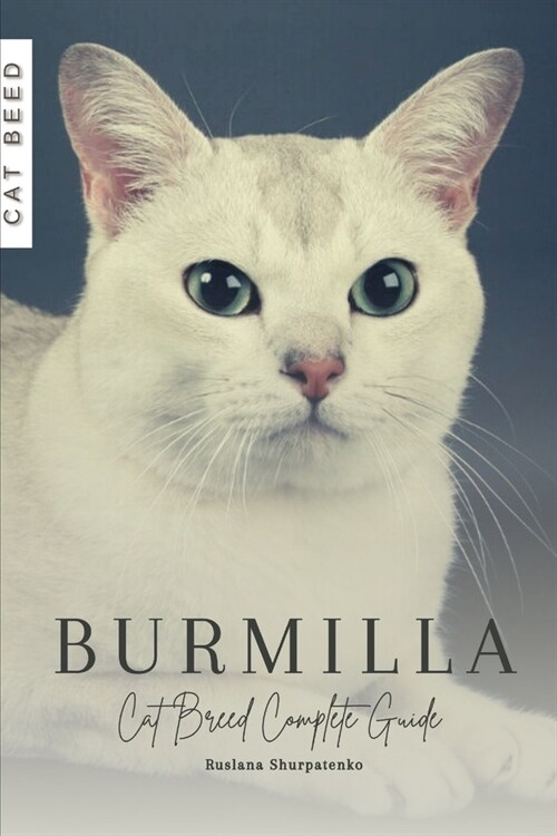 Burmilla: Cat Breed Complete Guide (Paperback)