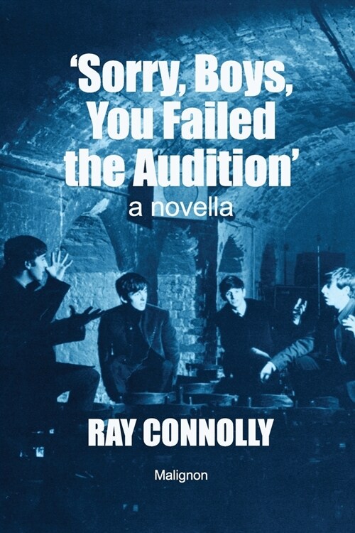 Sorry, Boys, You Failed The Audition (Paperback)