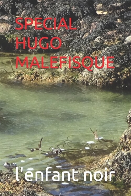 Special Hugo Malefisque (Paperback)