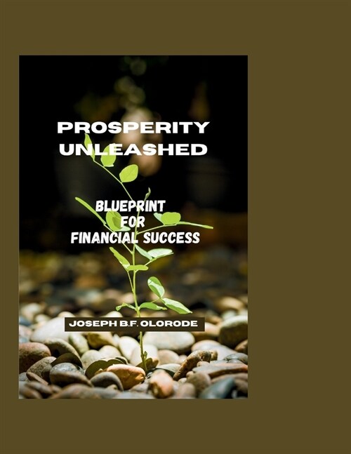 Prosperity Unleashed: Blueprint for Financial Success (Paperback)