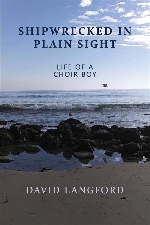 Shipwrecked in Plain Sight: Life of a Choir Boy (Paperback)