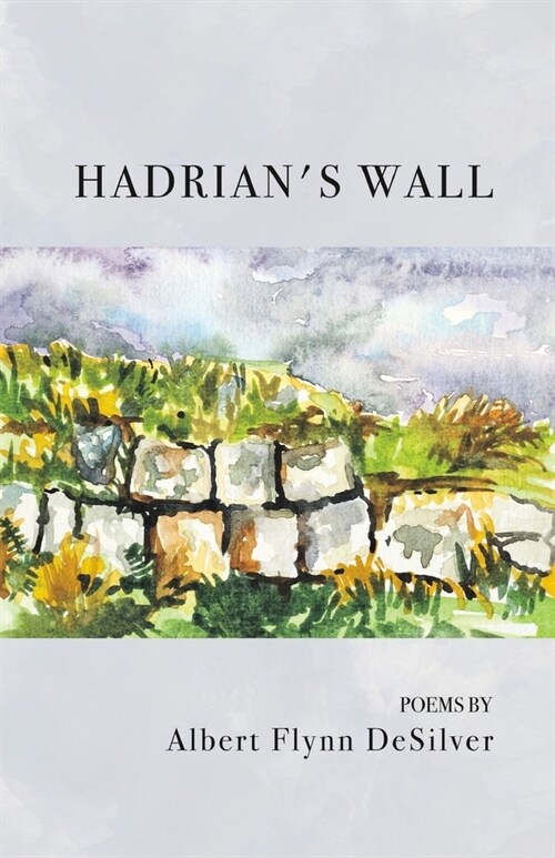 Hadrians Wall (Paperback)