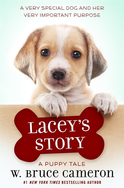 Laceys Story: A Puppy Tale (Paperback)