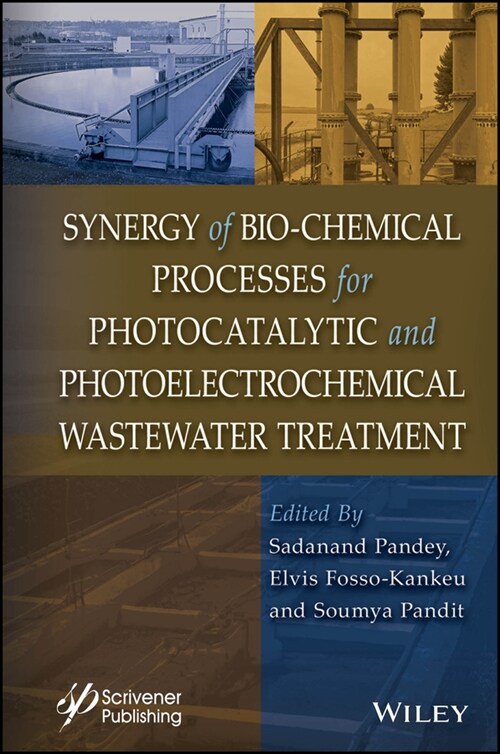 Synergy of Bio-Chemical Processes for Photocatalytic and Photoelectrochemical Wastewater Treatment (Hardcover)