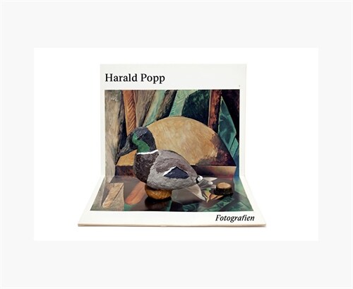 Harald Popp: Fotografien (Paperback)