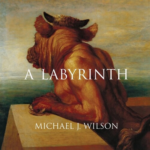 A Labyrinth (Paperback)
