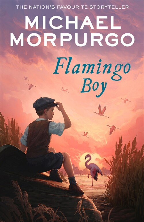 Flamingo Boy (Paperback)