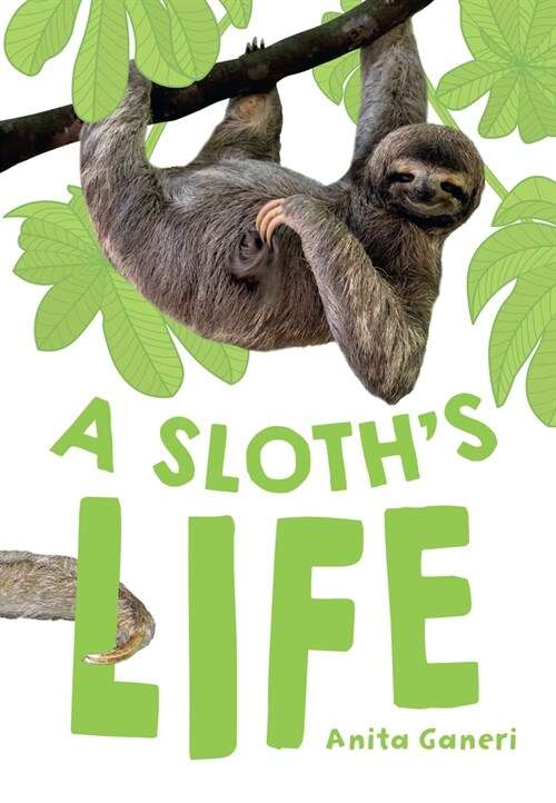 A Sloths Life : Fluency 7 (Paperback)