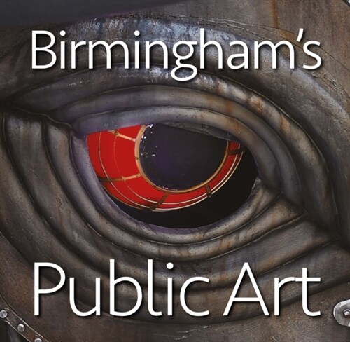 Birminghams Public Art (Hardcover)