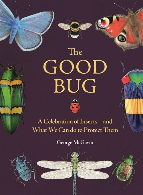The Good Bug : A Celebration of Insects (and What We Can Do to Protect Them) (Hardcover)