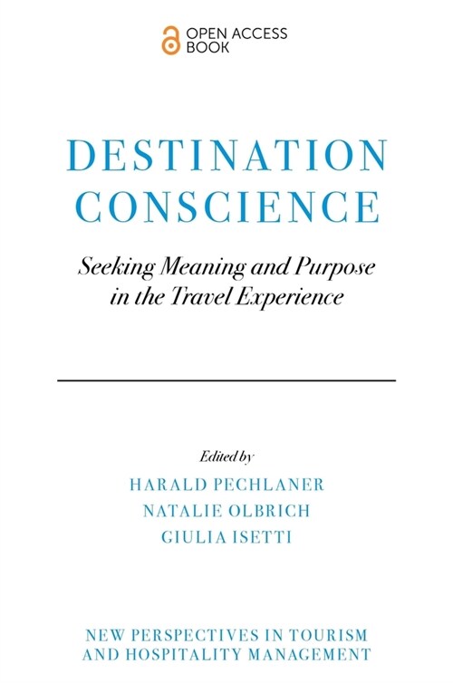 Destination Conscience : Seeking Meaning and Purpose in the Travel Experience (Paperback)