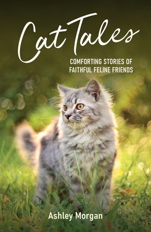 Cat Tales : Comforting Stories of Faithful Feline Friends (Paperback)