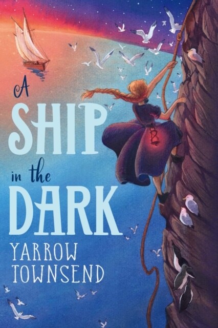 A Ship in the Dark (Paperback)