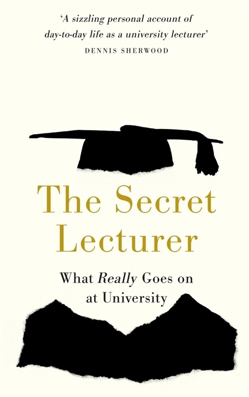 The Secret Lecturer : What Really Goes on at University (Paperback)