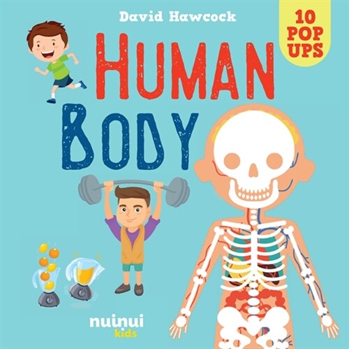 Human Body (Hardcover)