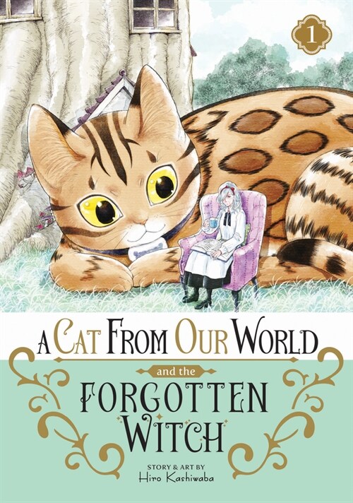 A Cat from Our World and the Forgotten Witch Vol. 1 (Paperback)